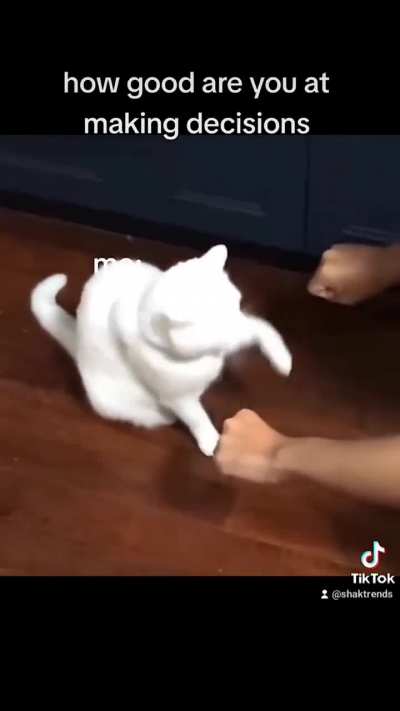 He's trying atleast 