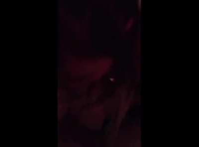 Cosmickitten cumpilation