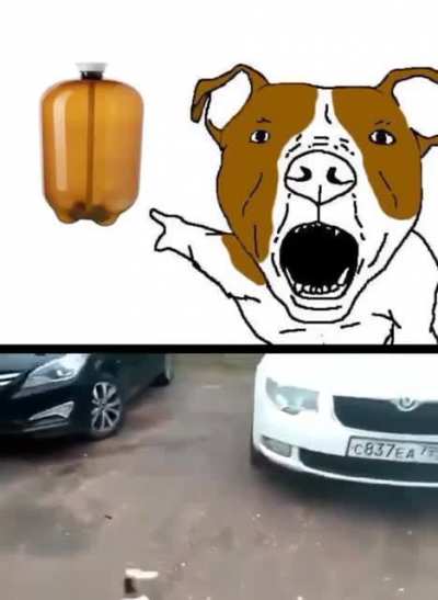 Avg dogo🐕