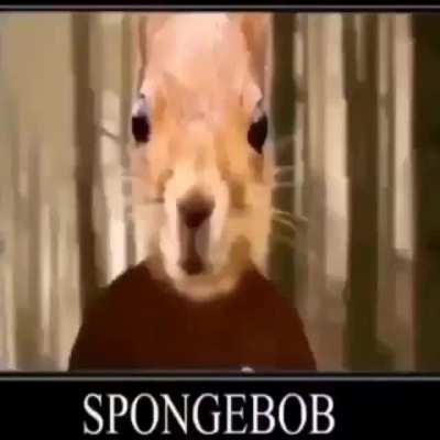 bob es ponja