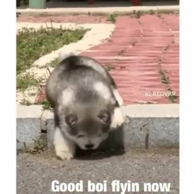 SUPERPUP to rescue