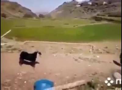 free play