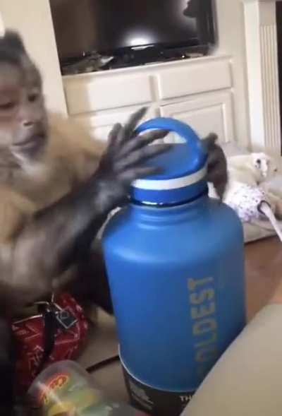 Curious George unboxing a water bottle.