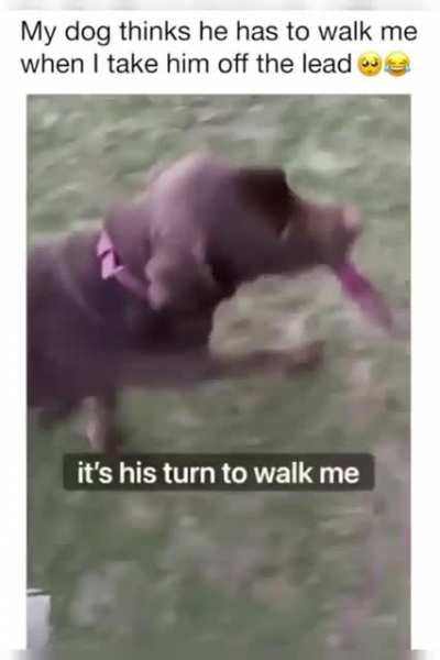 Such a good boy