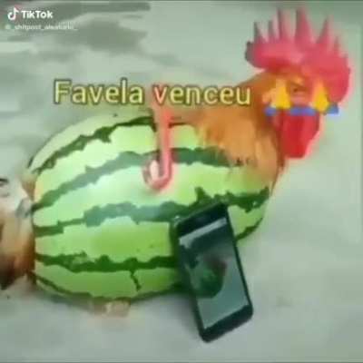 SEM TÍTULO