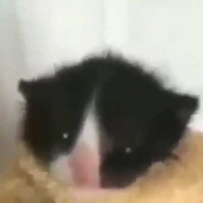 Vrom
