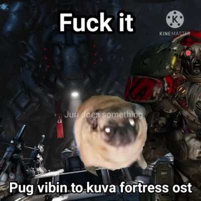 Pug vibing