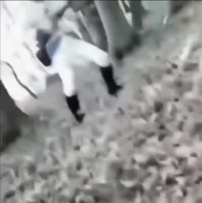 An interesting title