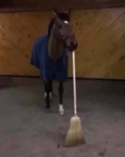 CAVALO VARRENDO