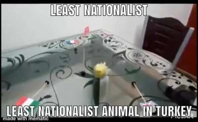🇹🇷🇹🇷🇹🇷💪🏿🧔🏿