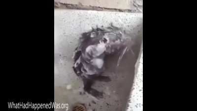 cleanliness first