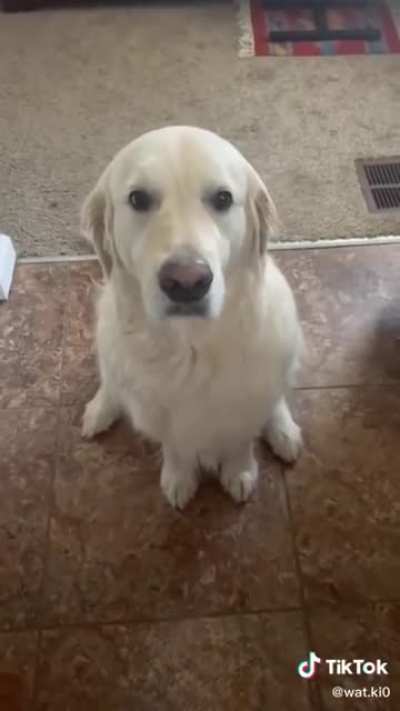 He knows he was in the wrong