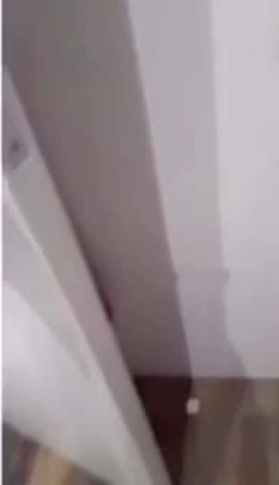 Playing hide and seek with mommy
