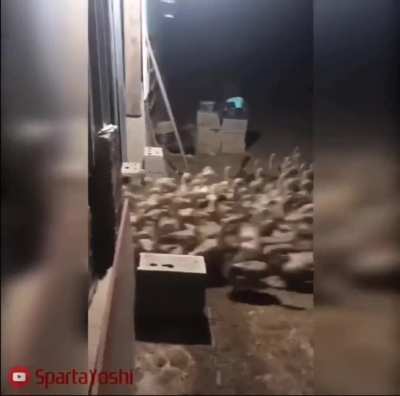 Azeris when they see unprotected Armenian border