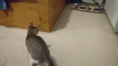 Flippin' taps