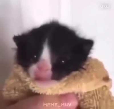 hot secks