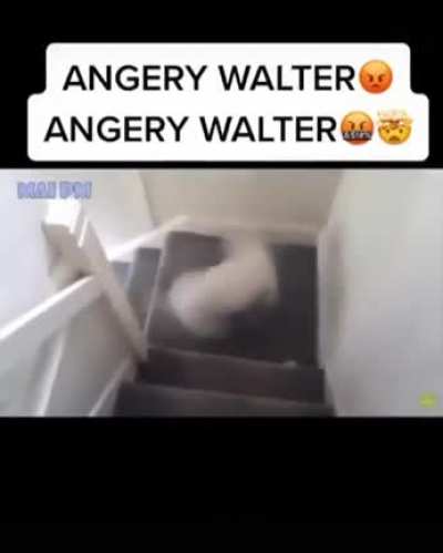 rule