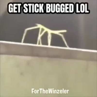 Imagine being too lazy to download the meme and then post it