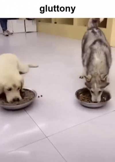 blursed_gluttony