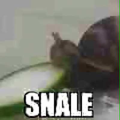 Snale