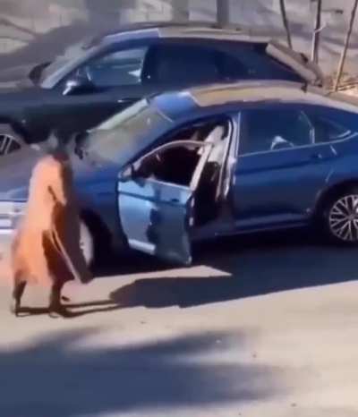 What a kind soul