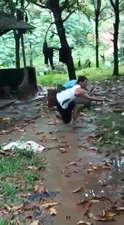 traditional martial arts
