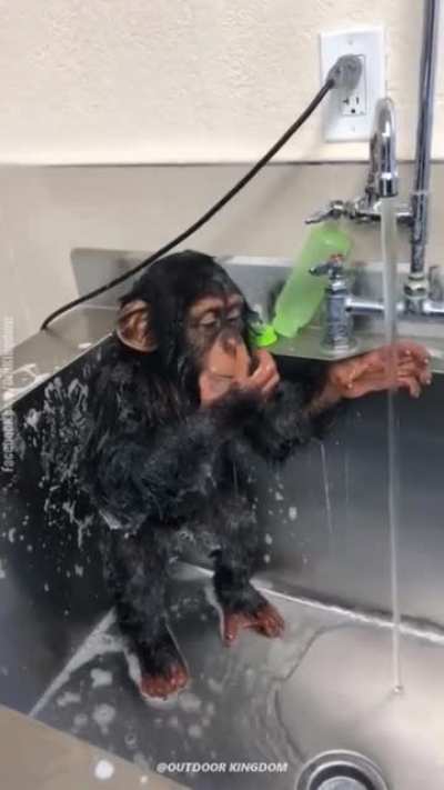 Riczer bañandose