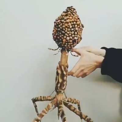 Handmade replica of a Bacteriophage, they kill about 40% of all bacteria in the ocean every day.