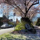 This spring magic!