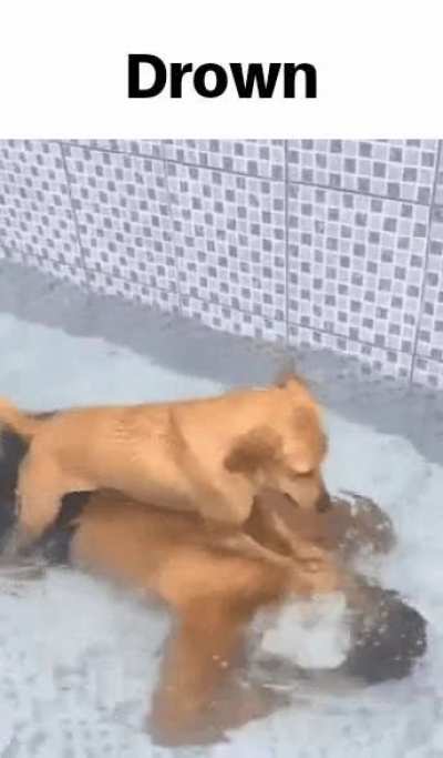 Drown