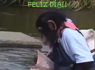 Meme de mi abuela