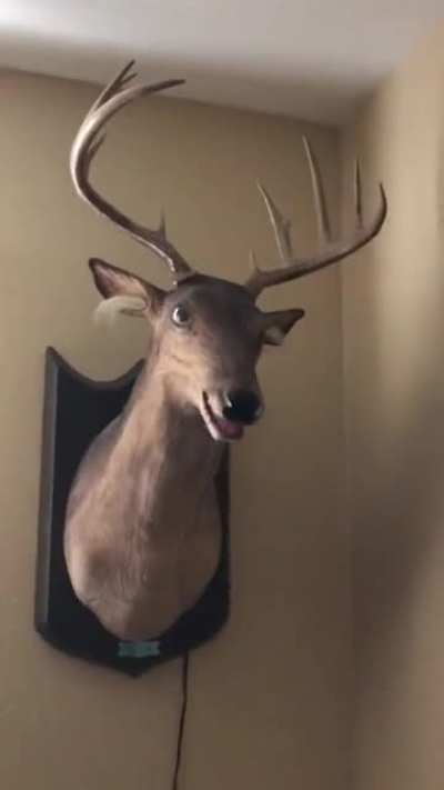 Wild Side Sung By Louis
