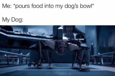 One time, I played fetch with my dog and instead of getting the ball, he brought back four lightsabers...