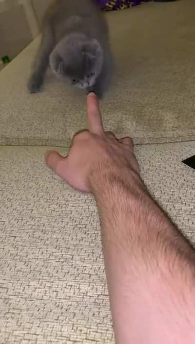 What's up bro