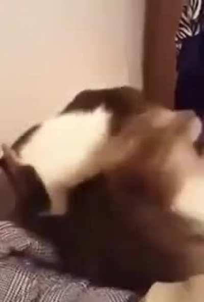 I have watched this video to many times to count
