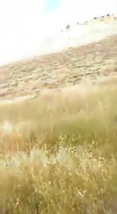 Courageous Israeli puts the Palestinian flag in its place