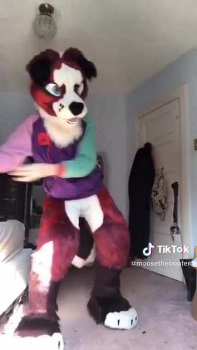 Furry_irl