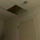 Uh oh, a spider