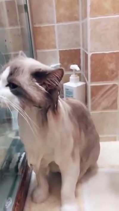 Shower time