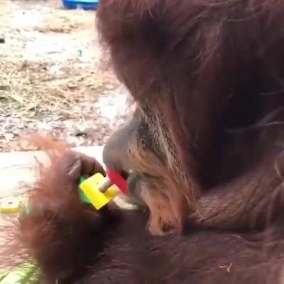 monke lip