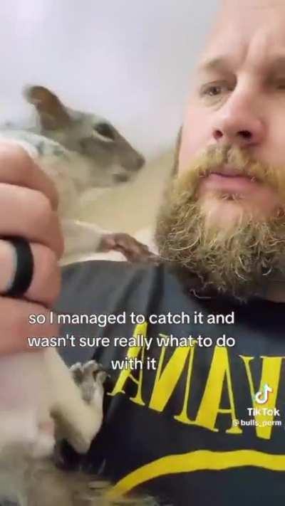 ð¿