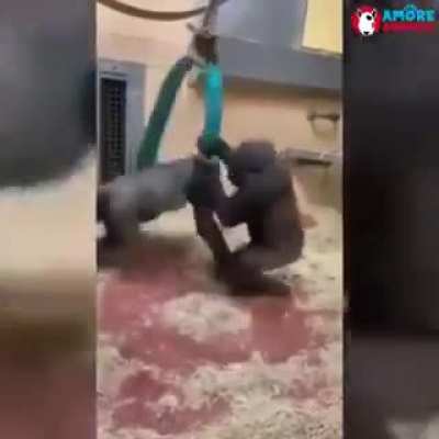 stres giderici video sınavdan 1 gün önce izleyin rahatlayın