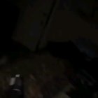Cursed_surprise