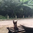 Throw it Tom , I can catch it!