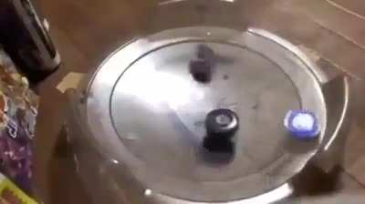 How?