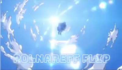 POLNAREFF FLIP