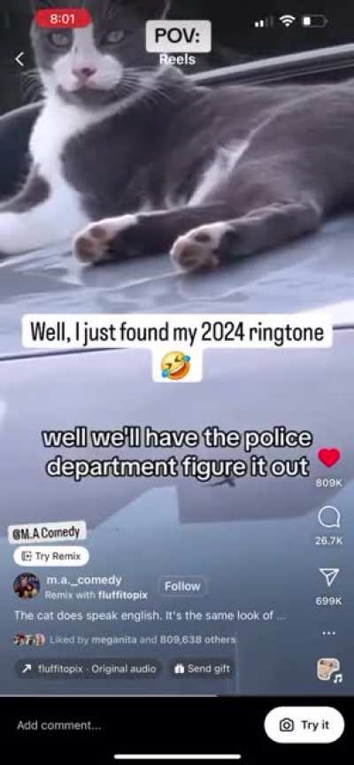 Upset because they made friends with their cat 