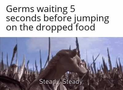 They know the rules and so do I