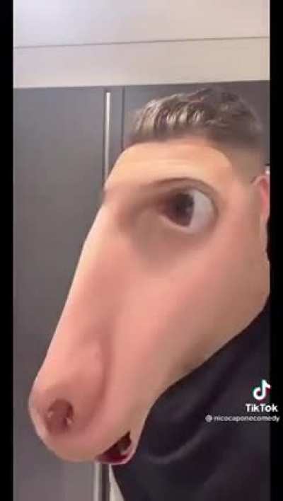 blursed_horse