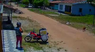 Doguinho sumiu com a quentinha do cara. kkkkkkkk